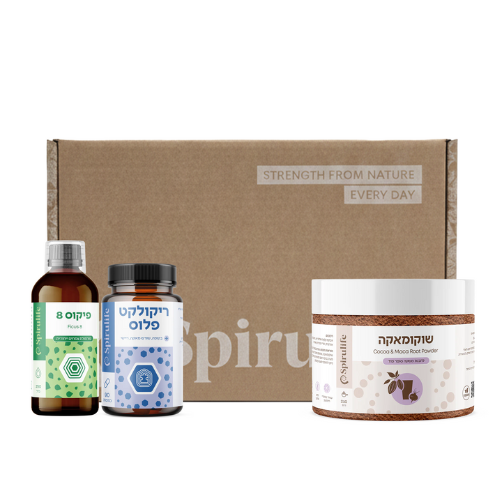 ערכת חדות מחשבה וזיכרון 40+