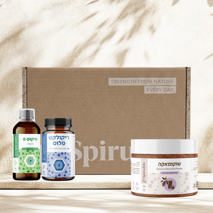 ערכת חדות מחשבה וזיכרון 40+