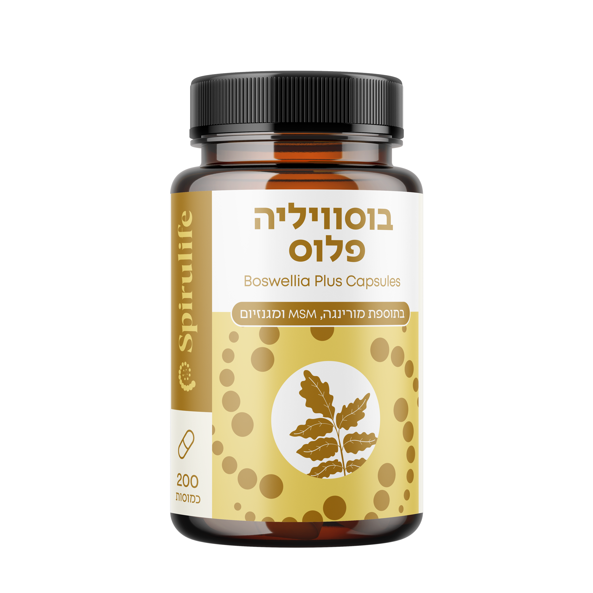 בוסווליה פלוס | לבונה, מורינגה, מגנזיום, MSM | כמוסות