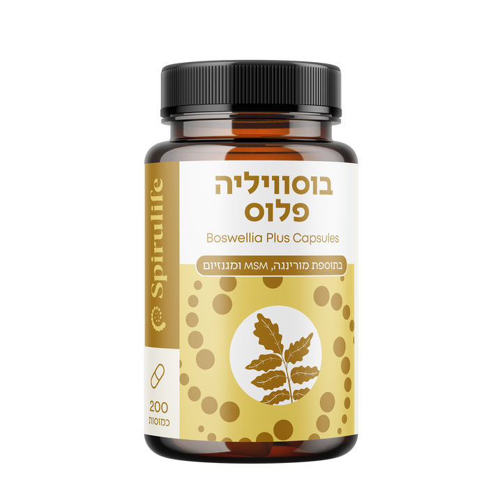 בוסווליה פלוס | לבונה, מורינגה, מגנזיום, MSM | כמוסות