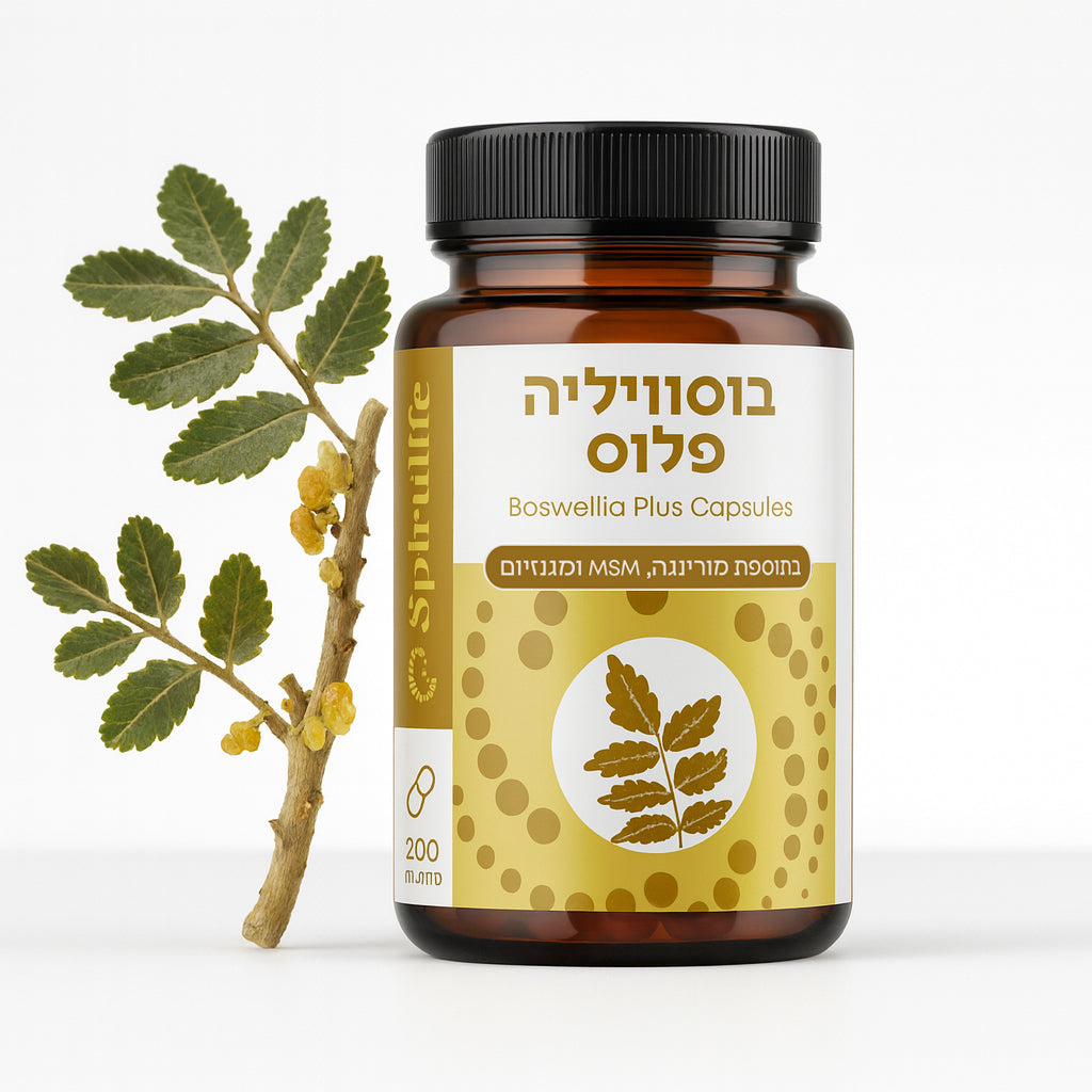 בוסווליה פלוס | לבונה, מורינגה, מגנזיום, MSM | כמוסות
