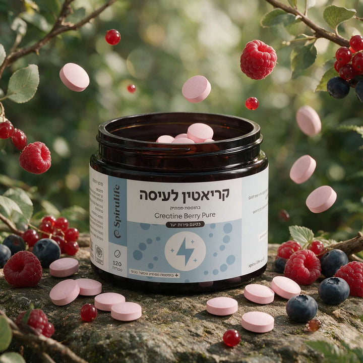 טבליות קריאטין ללעיסה | פירות יער