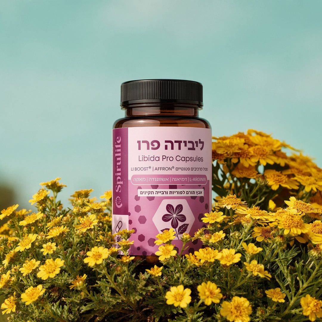 ליבידה פרו | כמוסות