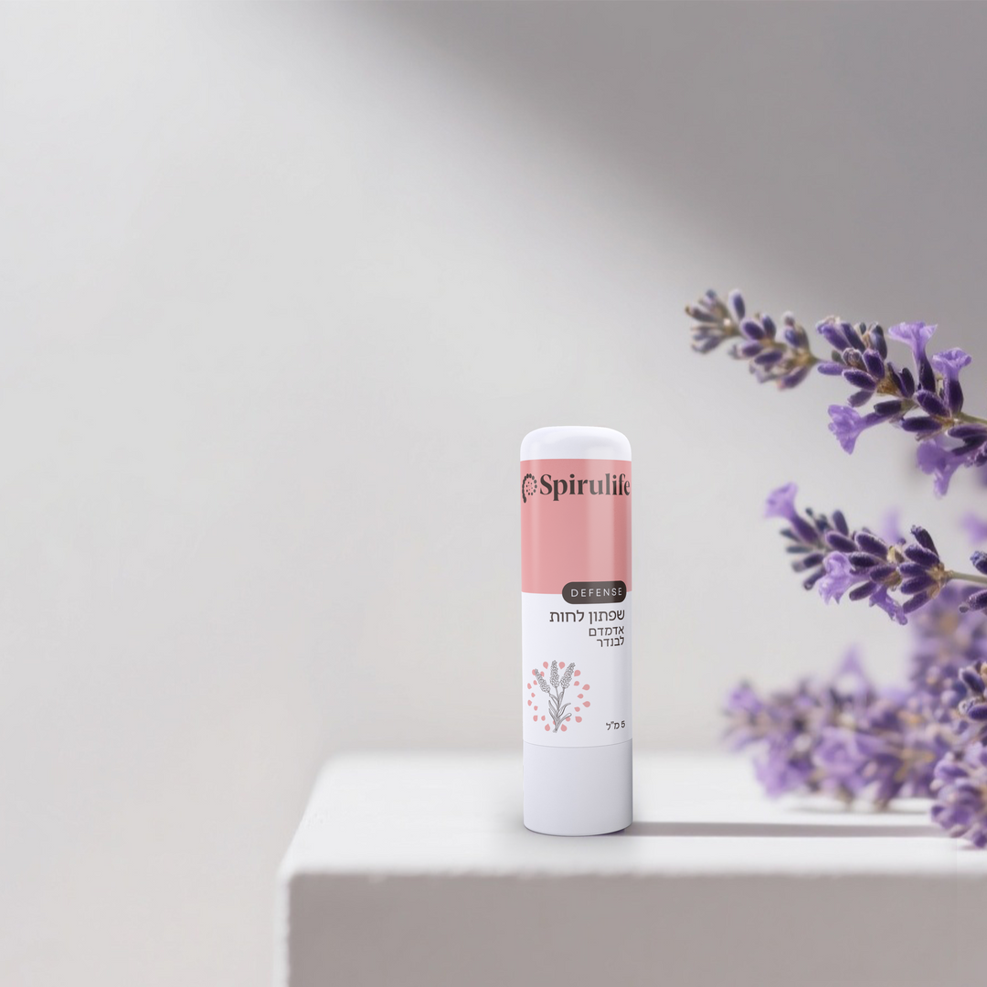 שפתון ליפ גלוס טבעי סטיק אדמדם