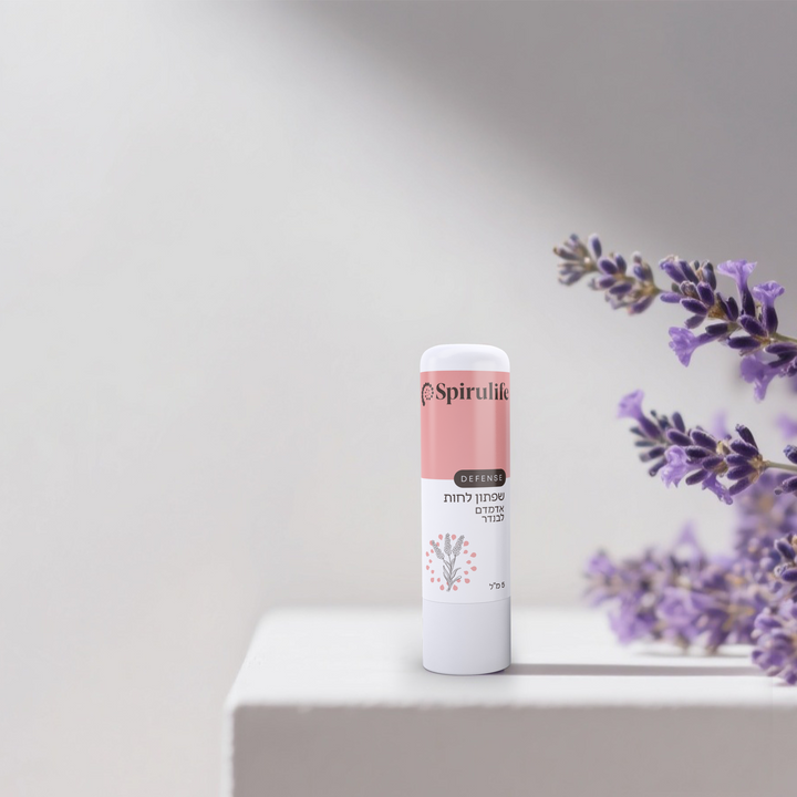 שפתון ליפ גלוס טבעי סטיק אדמדם