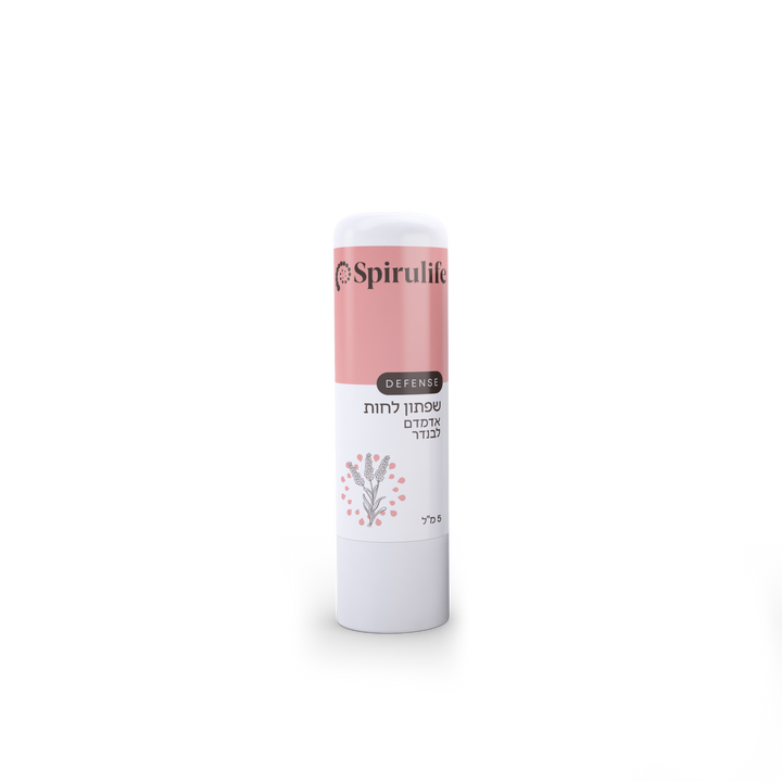 שפתון ליפ גלוס טבעי סטיק אדמדם