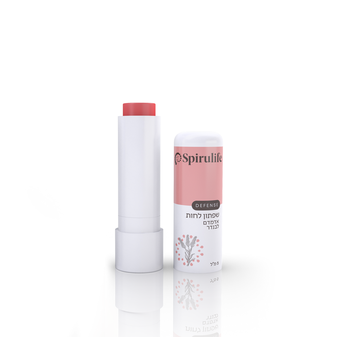 שפתון ליפ גלוס טבעי סטיק אדמדם