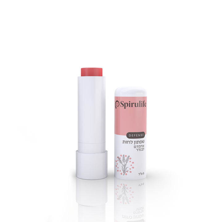 שפתון ליפ גלוס טבעי סטיק אדמדם