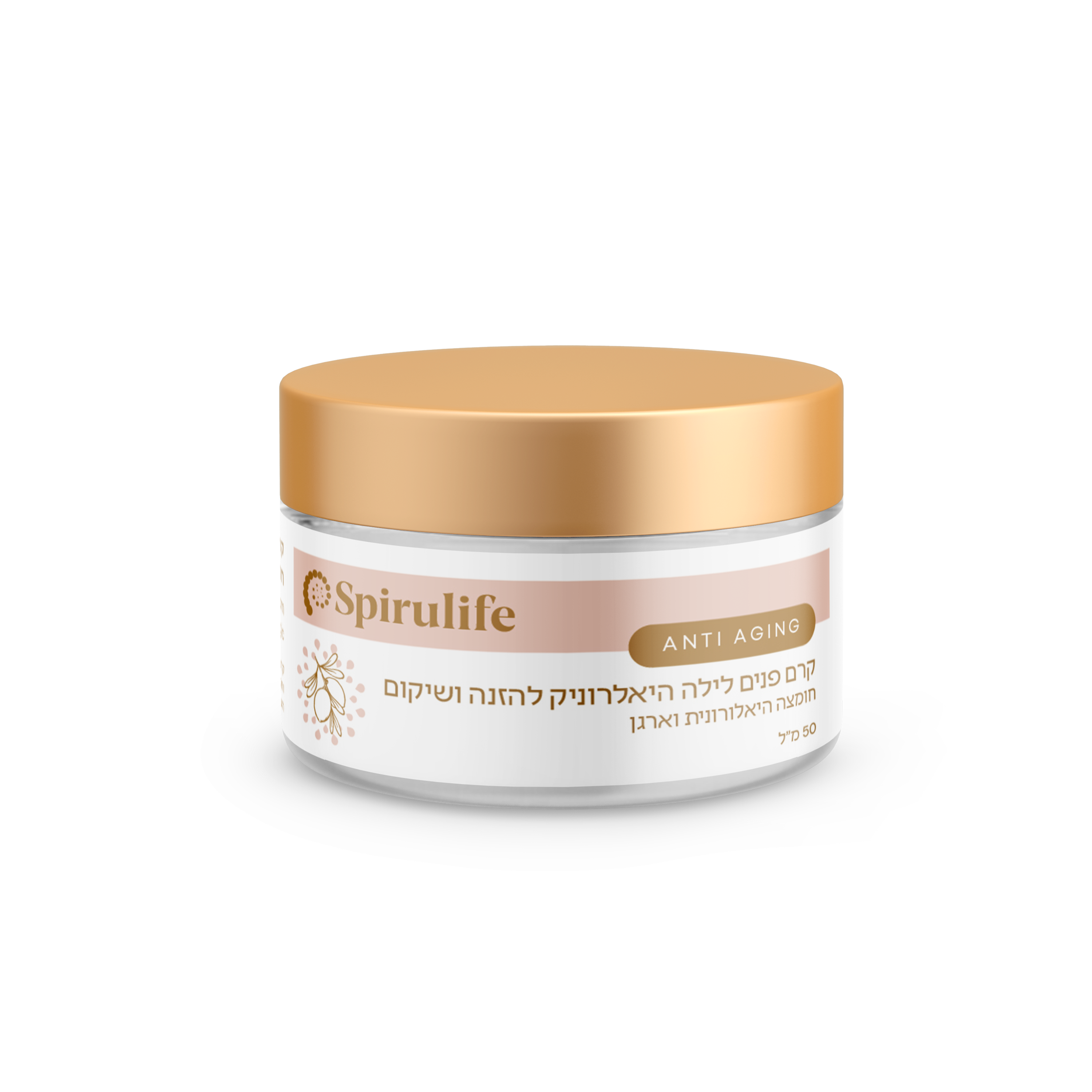 קרם פנים לילה היאלרוניק להזנה ושיקום | קסם הארגן