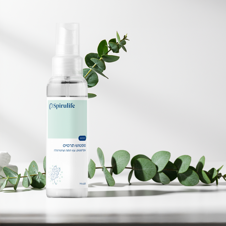 סופטוש תרסיס | אקליפטוס, עץ התה, ציטרונלה