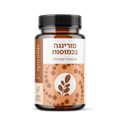 מורינגה אורגנית | כמוסות