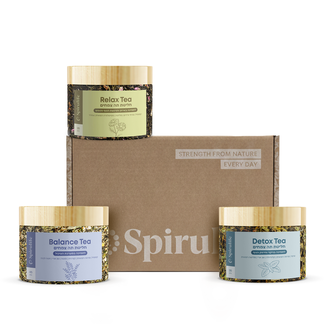 ערכת חליטות של אבישג