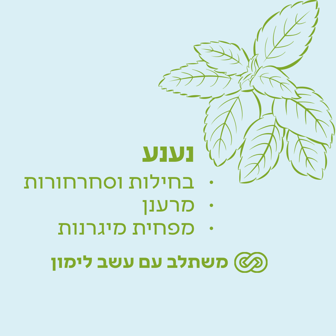 נענע | שמן אתרי טהור