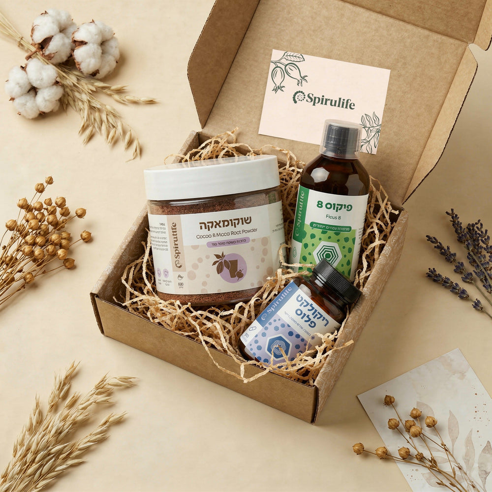 ערכת חדות מחשבה וזיכרון 40+