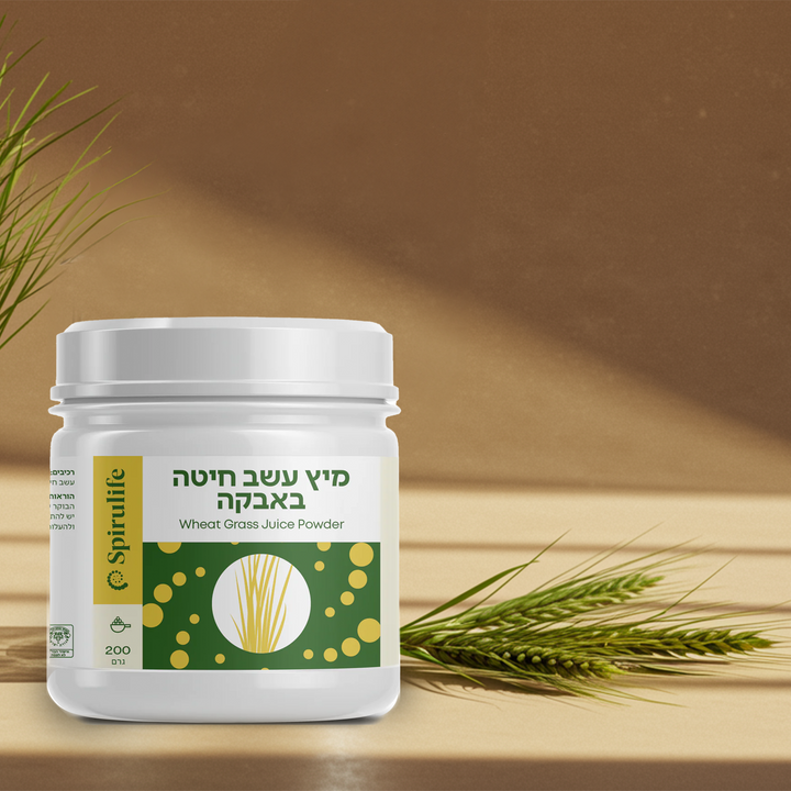 עשב חיטה אורגני | אבקה