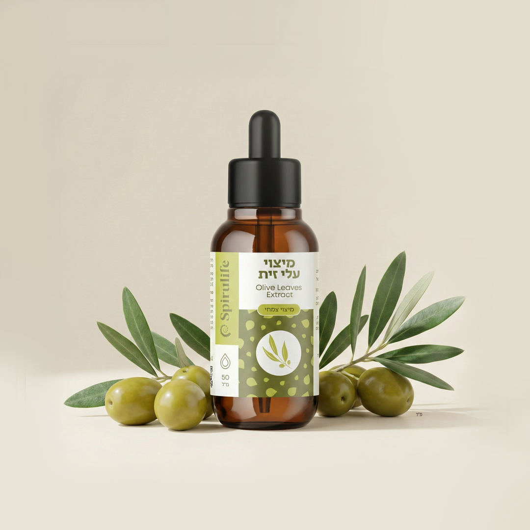עלי זית | מיצוי נוזלי מרוכז