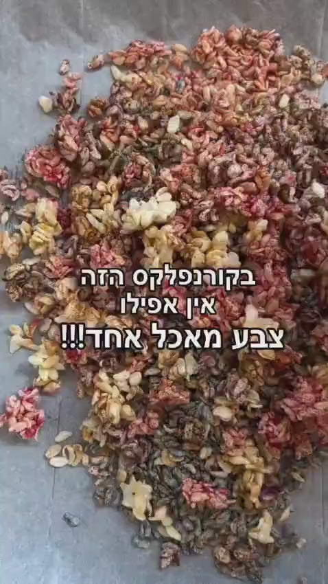 אסאי מזון העל מברזיל | אבקה