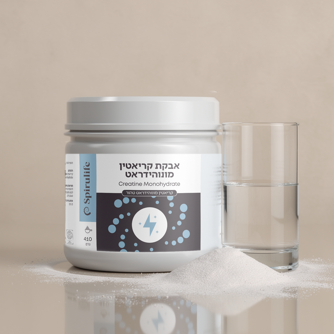 קריאטין מונוהידראט | אבקה