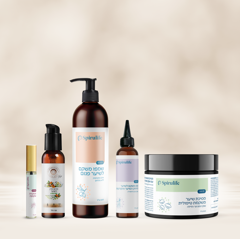 ערכת שורש העניין | שיינא