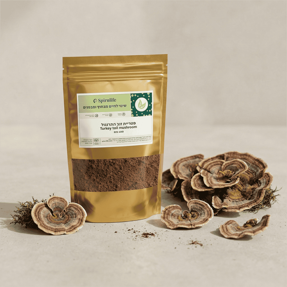 פטריית זנב התרנגול | Trametes versicolor (PSK)