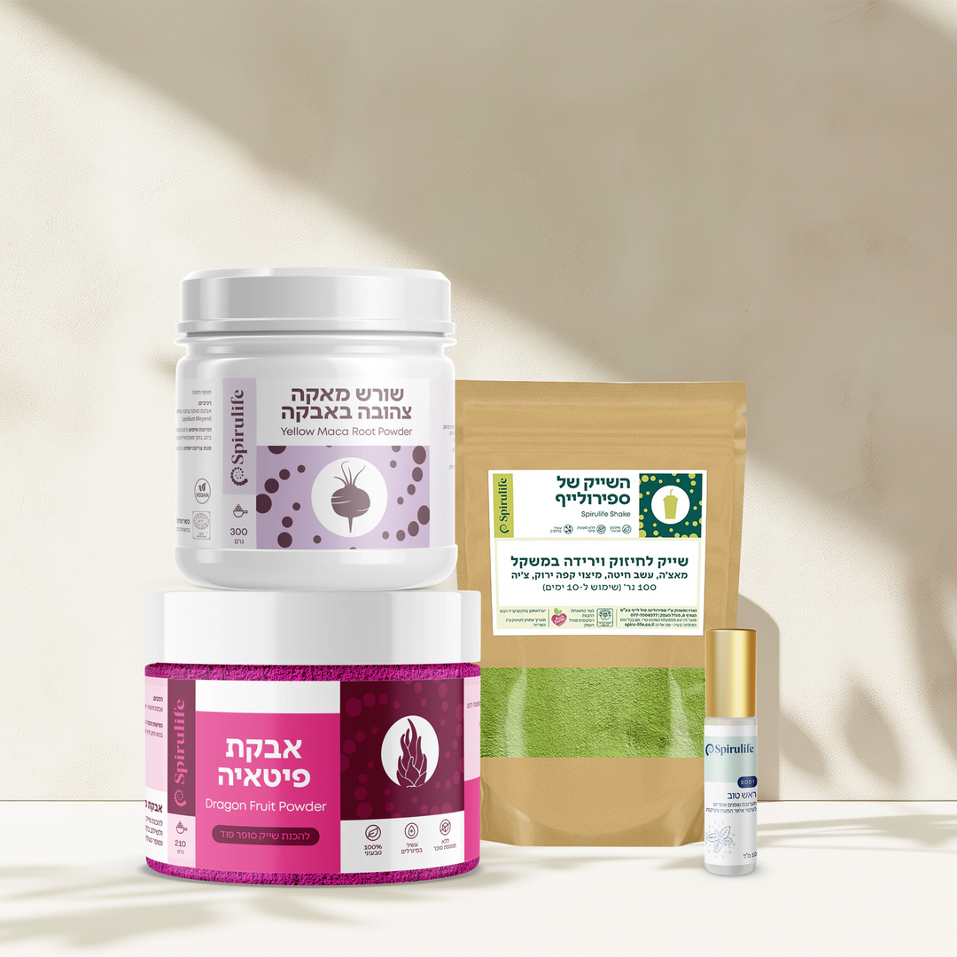 ערכת הפתרונות | יסמין בדר