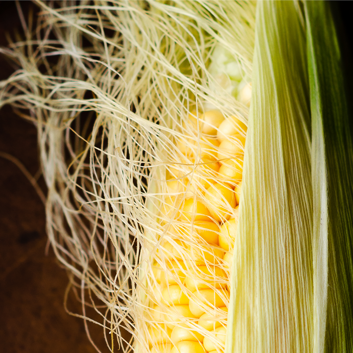 נשית פרוביוטיק | פרוביוטיקה לנשים די מאנוז